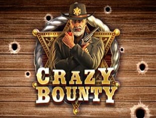 Crazy Bounty game screenshot